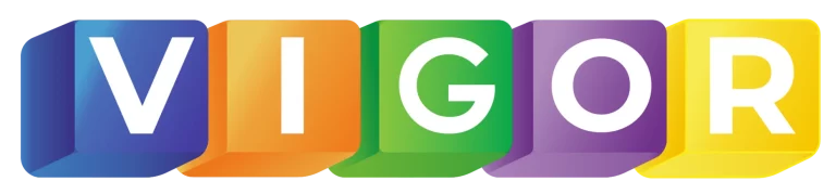 Vigor Accounting & Taxation